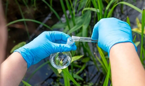 The Rise of Green Textiles