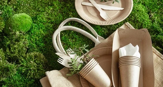 Carbon Neutrality in Textiles