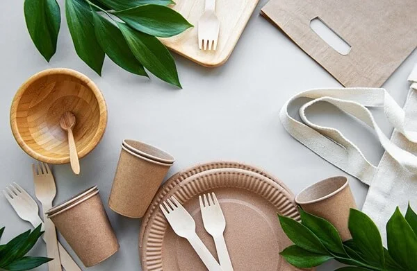 Social Compliance Audit